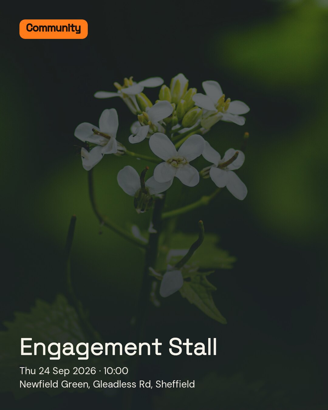 Engagement Stall. Thu 24 Sep 2026. Newfield Green, Gleadless Rd, Sheffield.