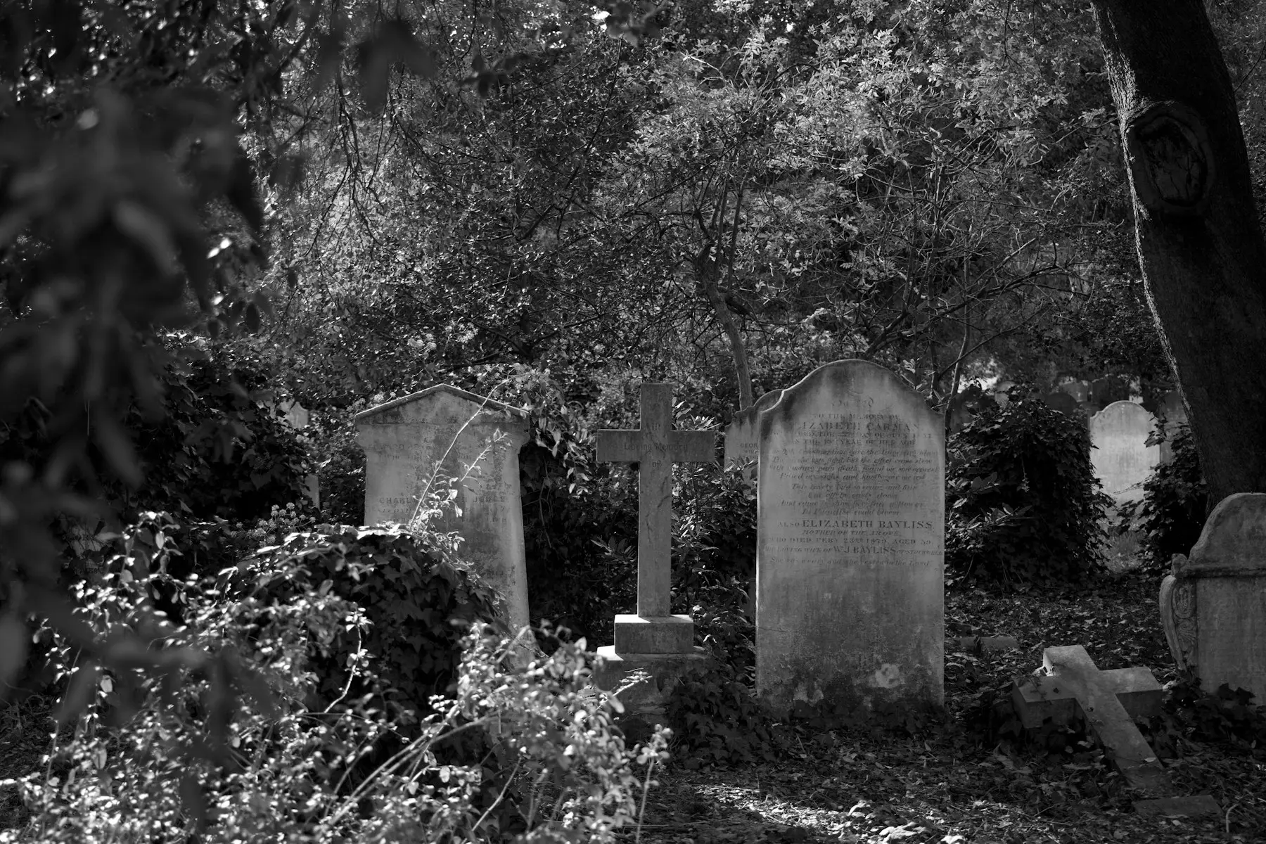 Headstones among trees and ivy in an overgrown British cemetery at dusk.