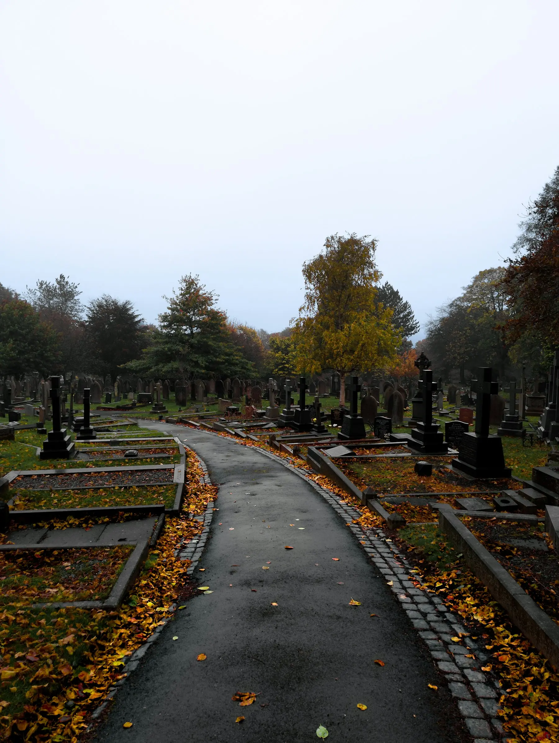 An autumn path through Leek Cemetery, surrounded by trees and gravestones.