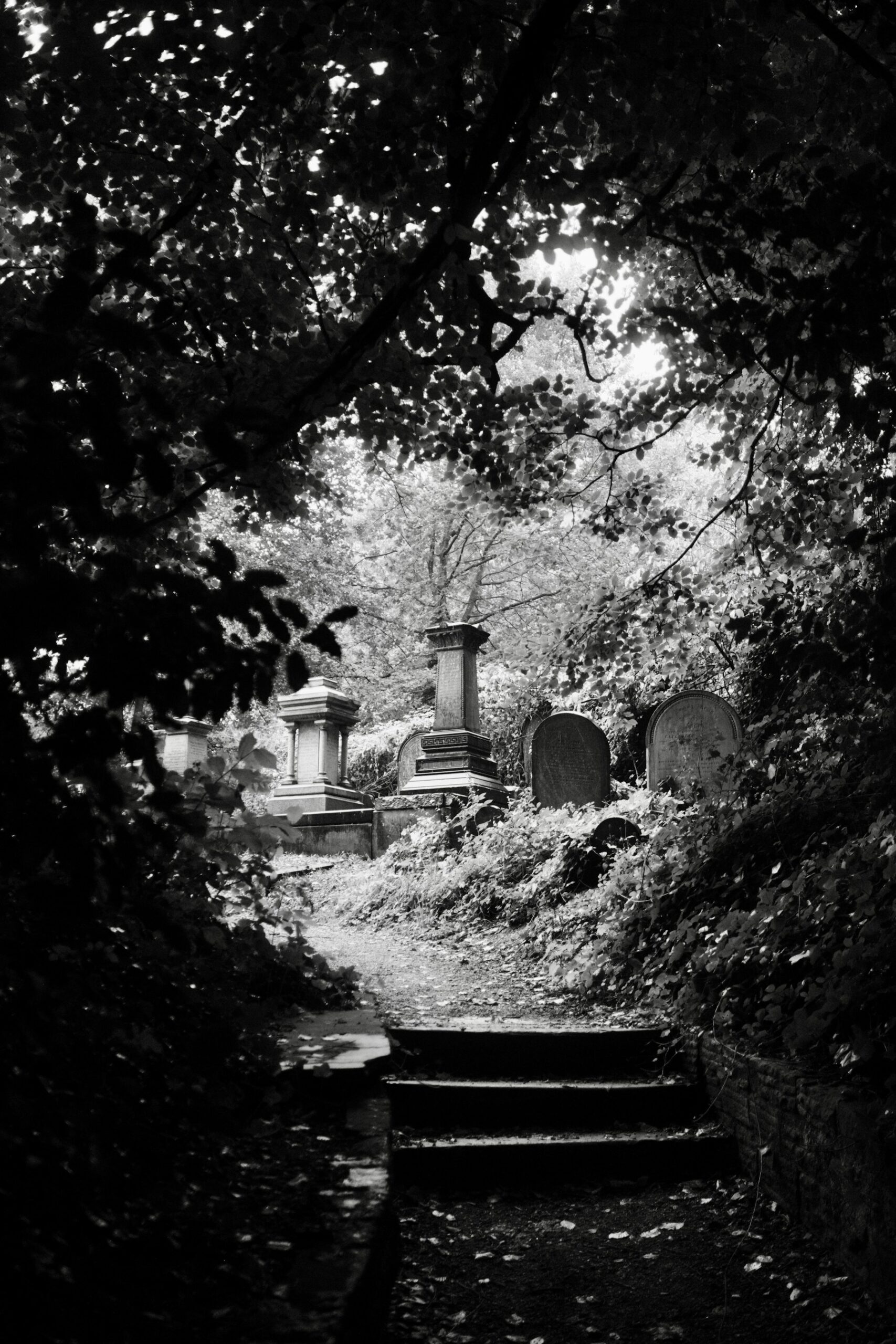 A black-and-white path through a Sheffield cemetery, lined by trees and gravestones.