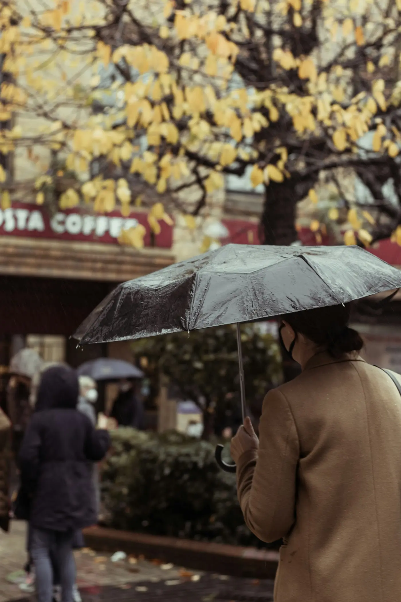 Rainy day in Sheffield: things to do when the weather turns