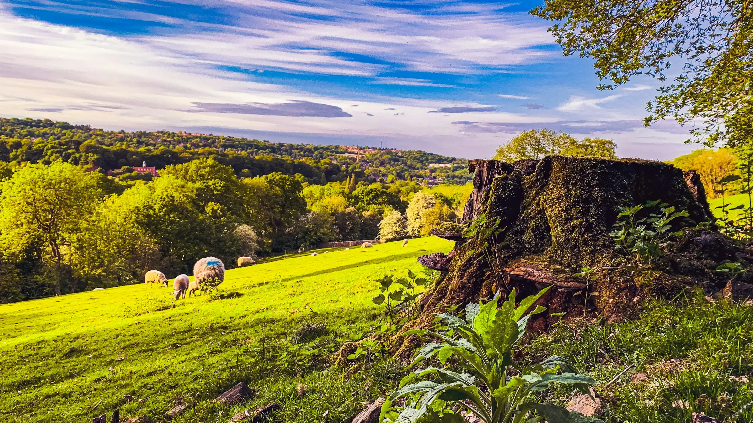 A view down Porter Valley in Sheffield, UK.